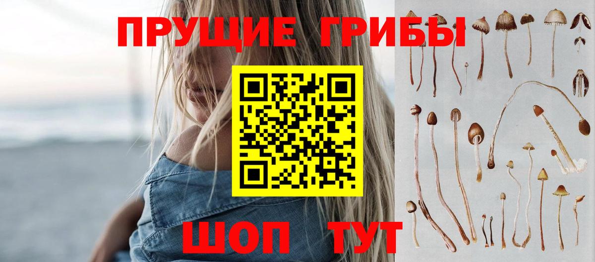 Вологда  Псилоцибиновые грибы Magic Shrooms  Вход с VPN  Галлюциногенные грибы мицелий 